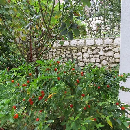 Apartman Bubi Trogir