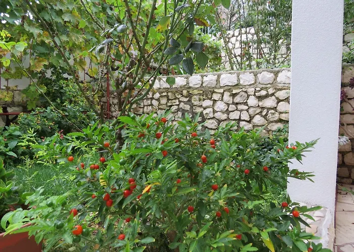 公寓 Bubi 特罗吉尔